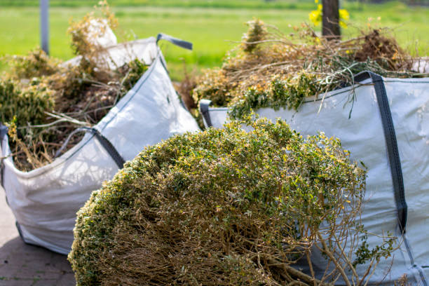 Professional Junk Removal in Fraser, CO